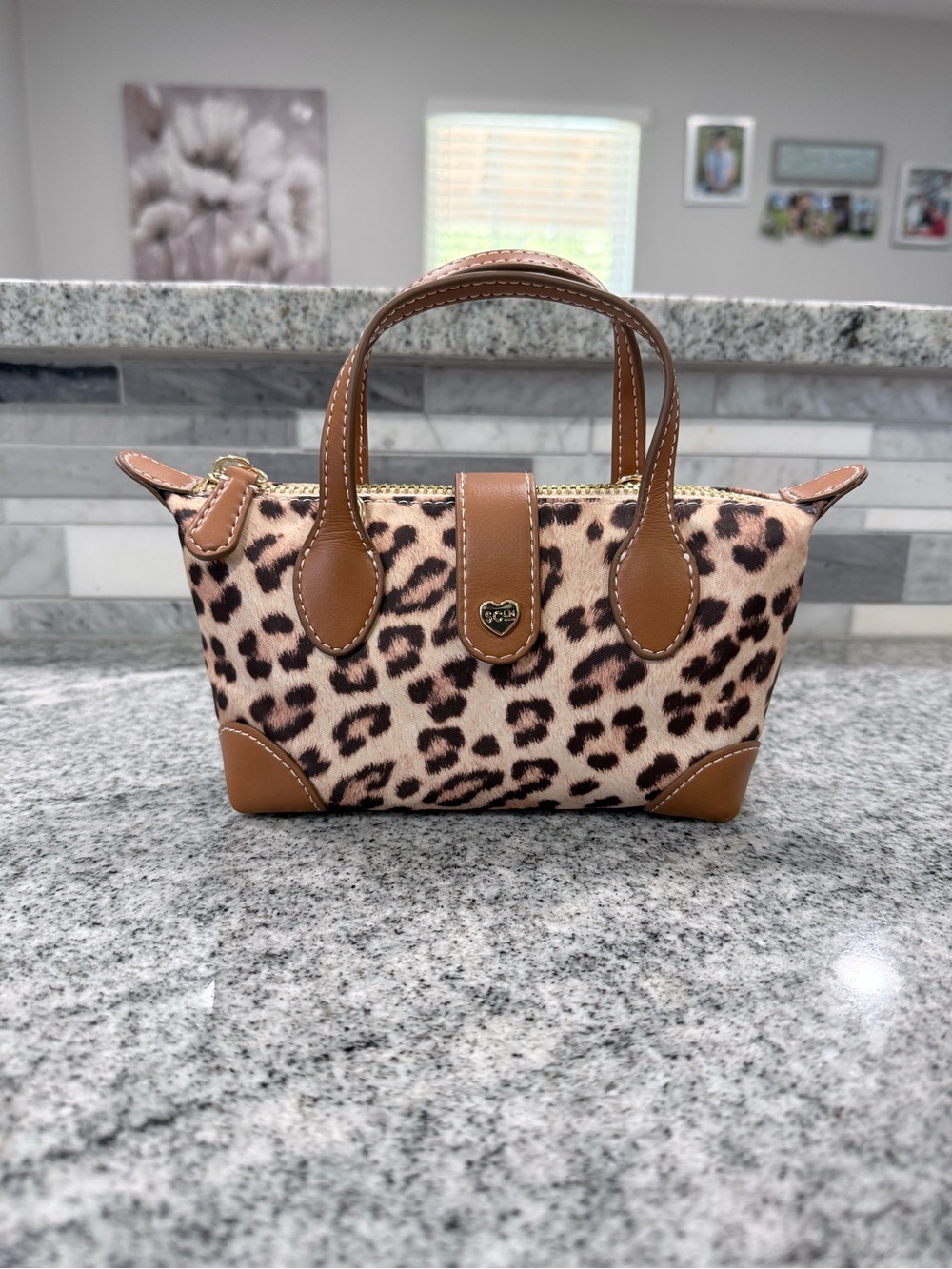 Stoney Clover Lane Leopard Pouchette